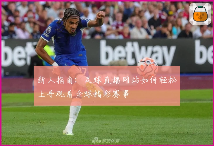 新人指南：足球直播网站如何轻松上手观看全球精彩赛事